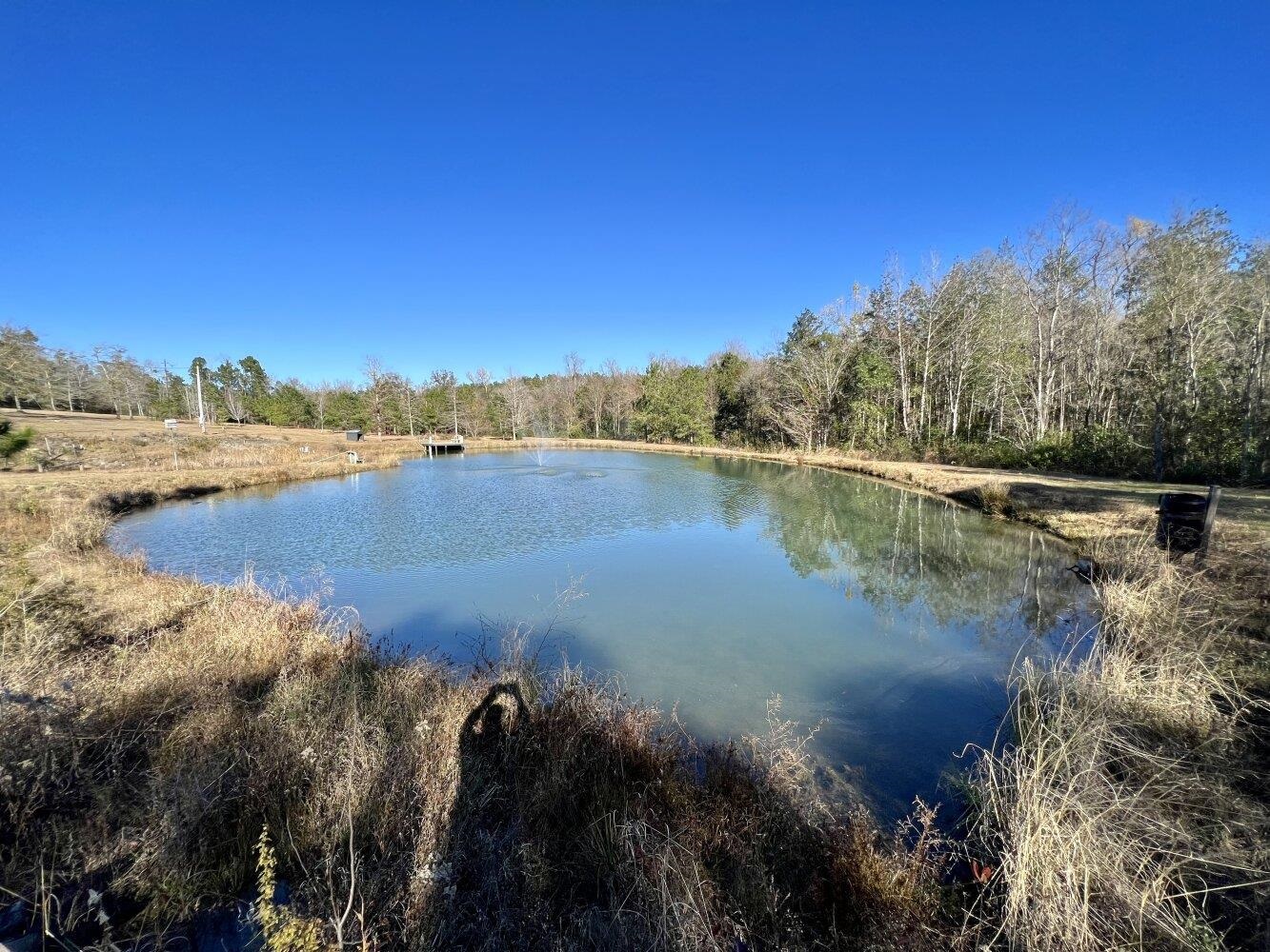 12340 Tall Pine Road Bay Minette, AL 36507 - Photo 21 of 50