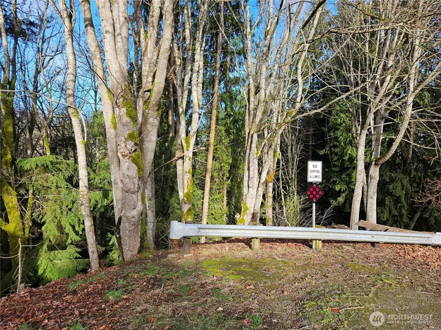 a view of street with large trees