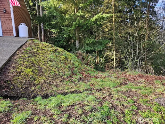 a backyard of a house with lots of green space