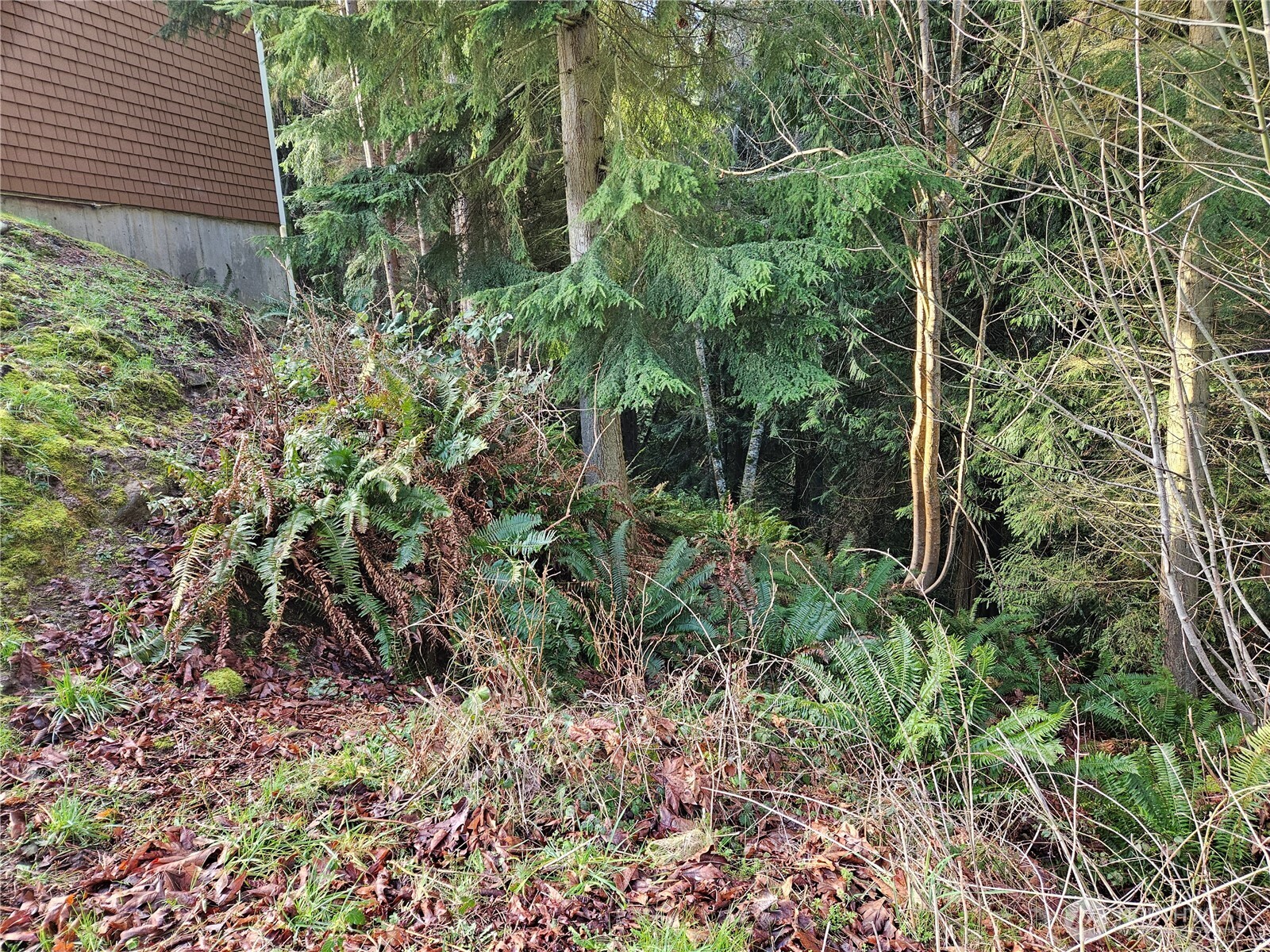 9999 East 5th Street Port Angeles, WA 98362 - Photo 4 of 17 a view of a garden