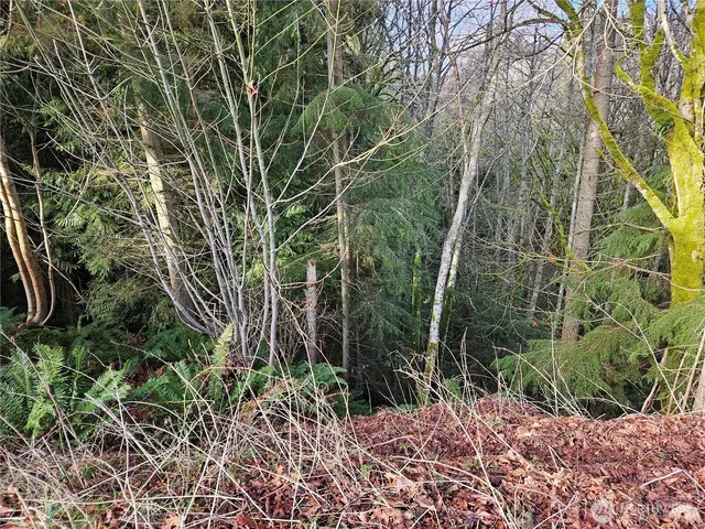 a backyard of a house with lots of plants and trees