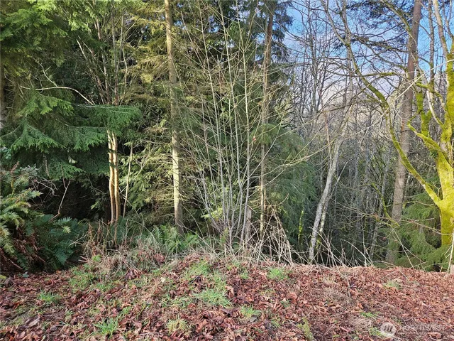 a view of a garden with plants
