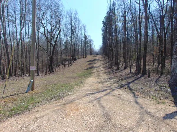 $229,950 | 3160 Jimmy Holt Road, Cypress Inn, TN 38452