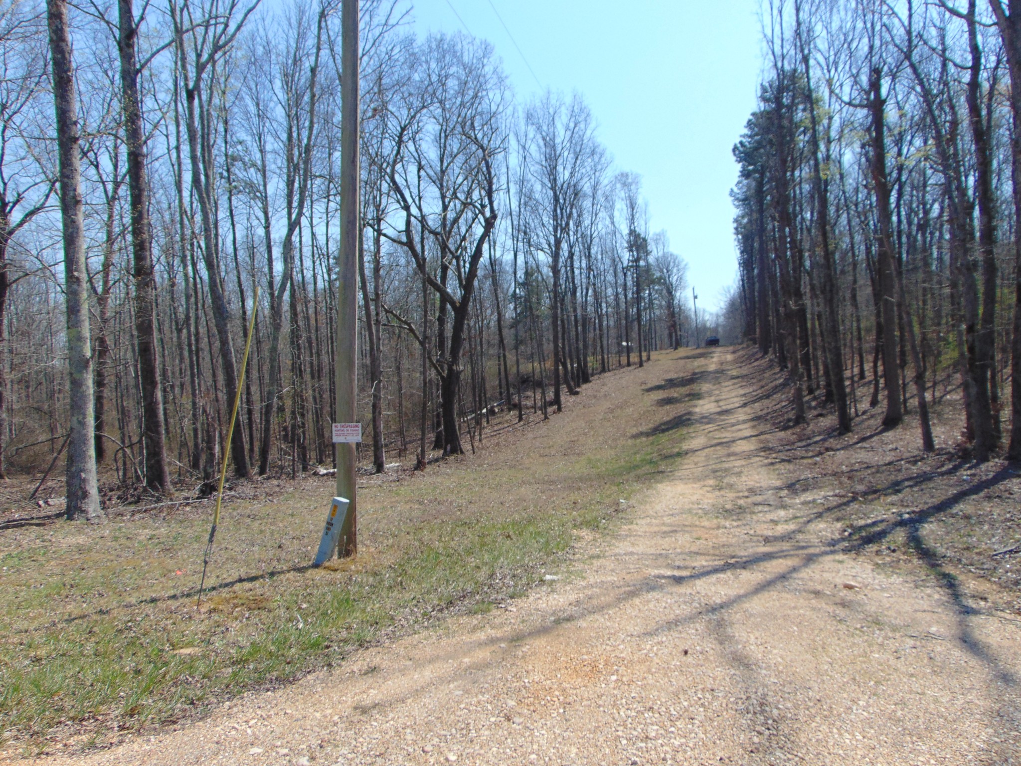 3160 Jimmy Holt Road Cypress Inn, TN 38452 - Photo 11 of 18