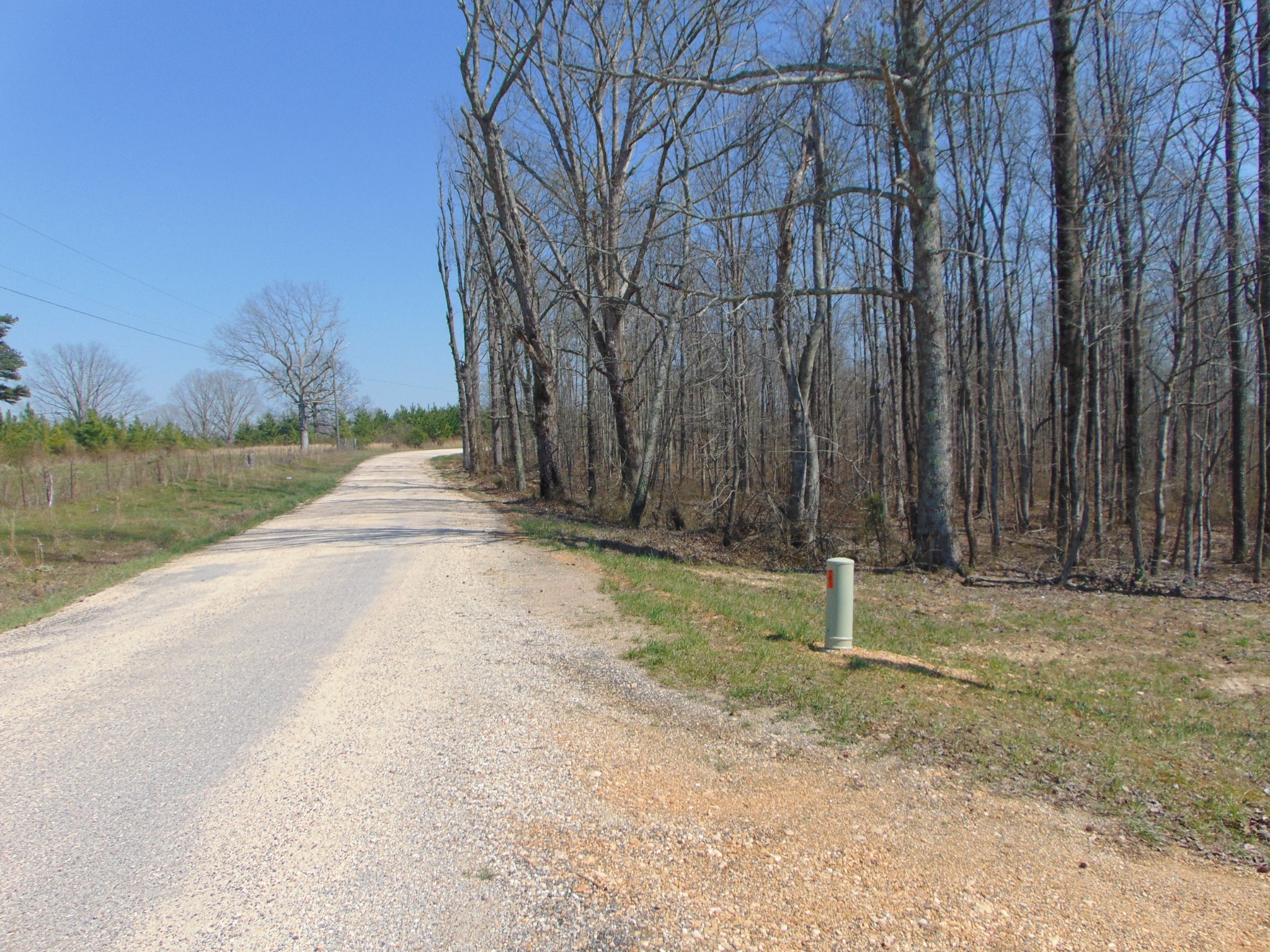 3160 Jimmy Holt Road Cypress Inn, TN 38452 - Photo 12 of 18