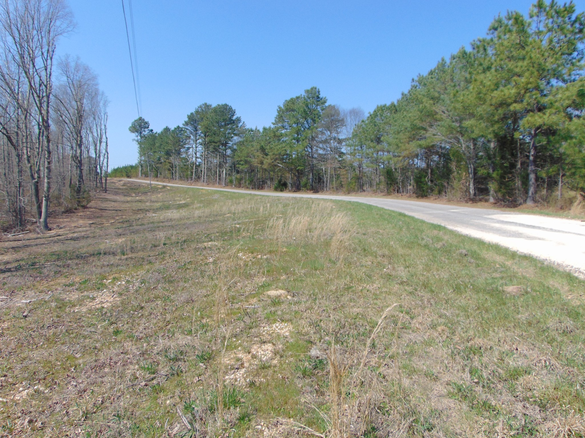 3160 Jimmy Holt Road Cypress Inn, TN 38452 - Photo 15 of 18