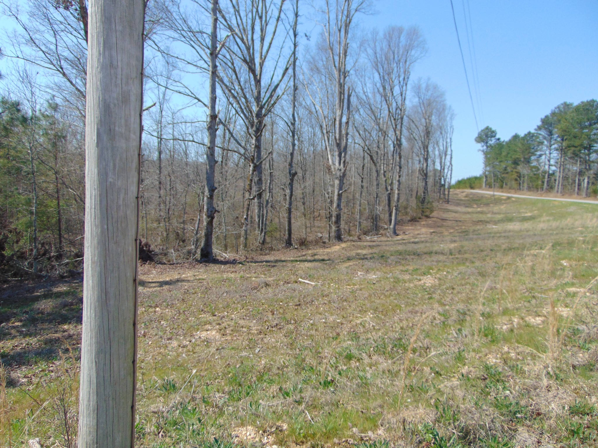 3160 Jimmy Holt Road Cypress Inn, TN 38452 - Photo 16 of 18