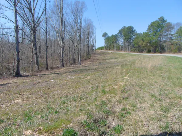 $229,950 | 3160 Jimmy Holt Road, Cypress Inn, TN 38452