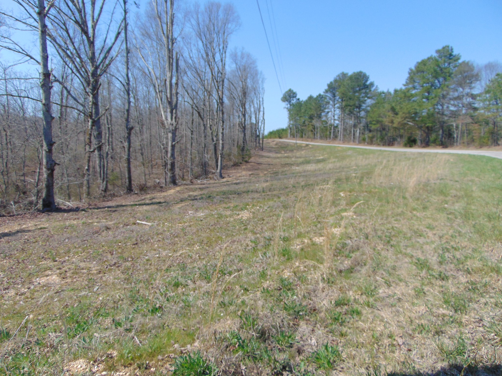 3160 Jimmy Holt Road Cypress Inn, TN 38452 - Photo 17 of 18