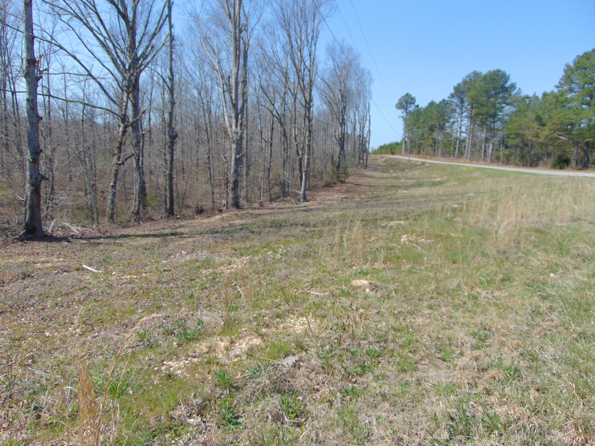 3160 Jimmy Holt Road Cypress Inn, TN 38452 - Photo 18 of 18