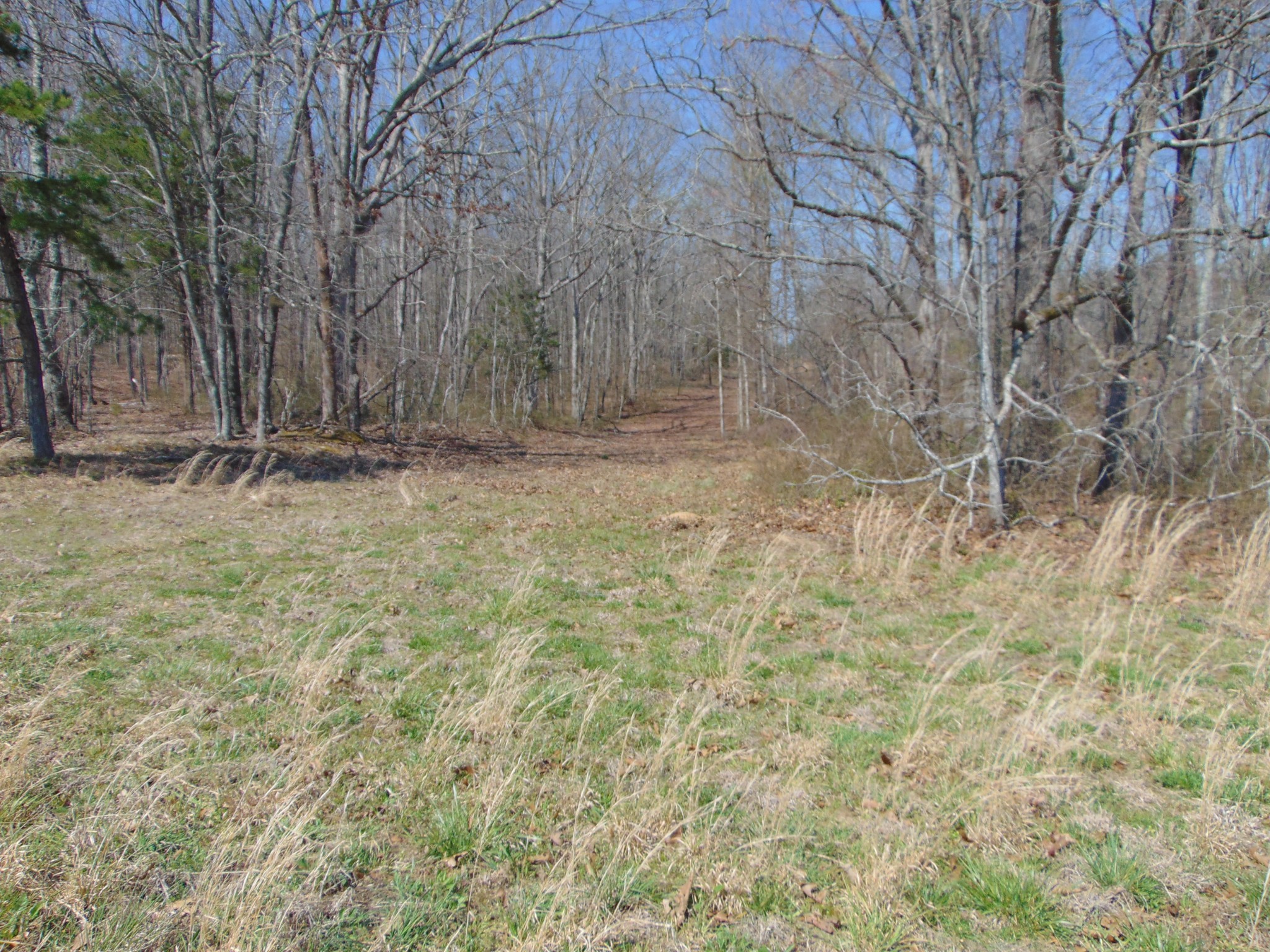 3160 Jimmy Holt Road Cypress Inn, TN 38452 - Photo 2 of 18