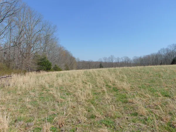 $229,950 | 3160 Jimmy Holt Road, Cypress Inn, TN 38452