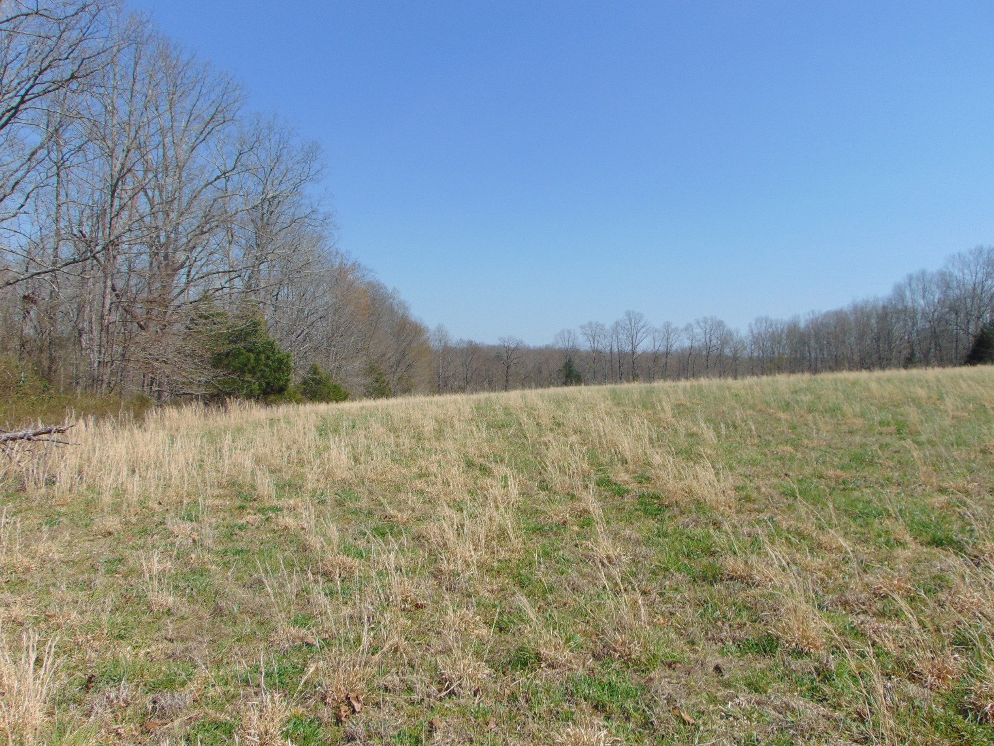 3160 Jimmy Holt Road Cypress Inn, TN 38452 - Photo 3 of 18