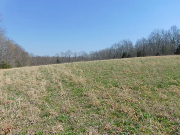 $229,950 | 3160 Jimmy Holt Road, Cypress Inn, TN 38452