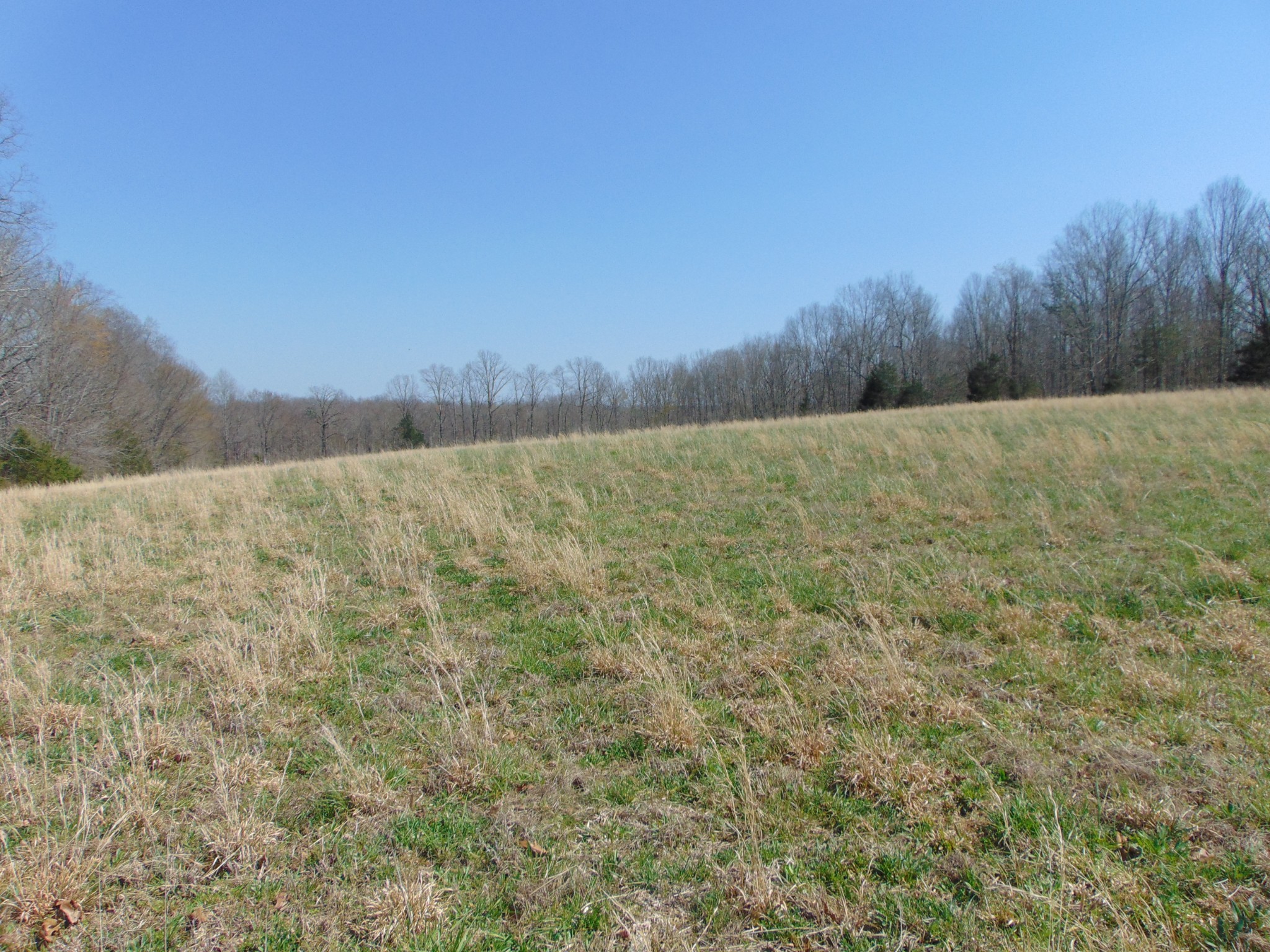 3160 Jimmy Holt Road Cypress Inn, TN 38452 - Photo 4 of 18