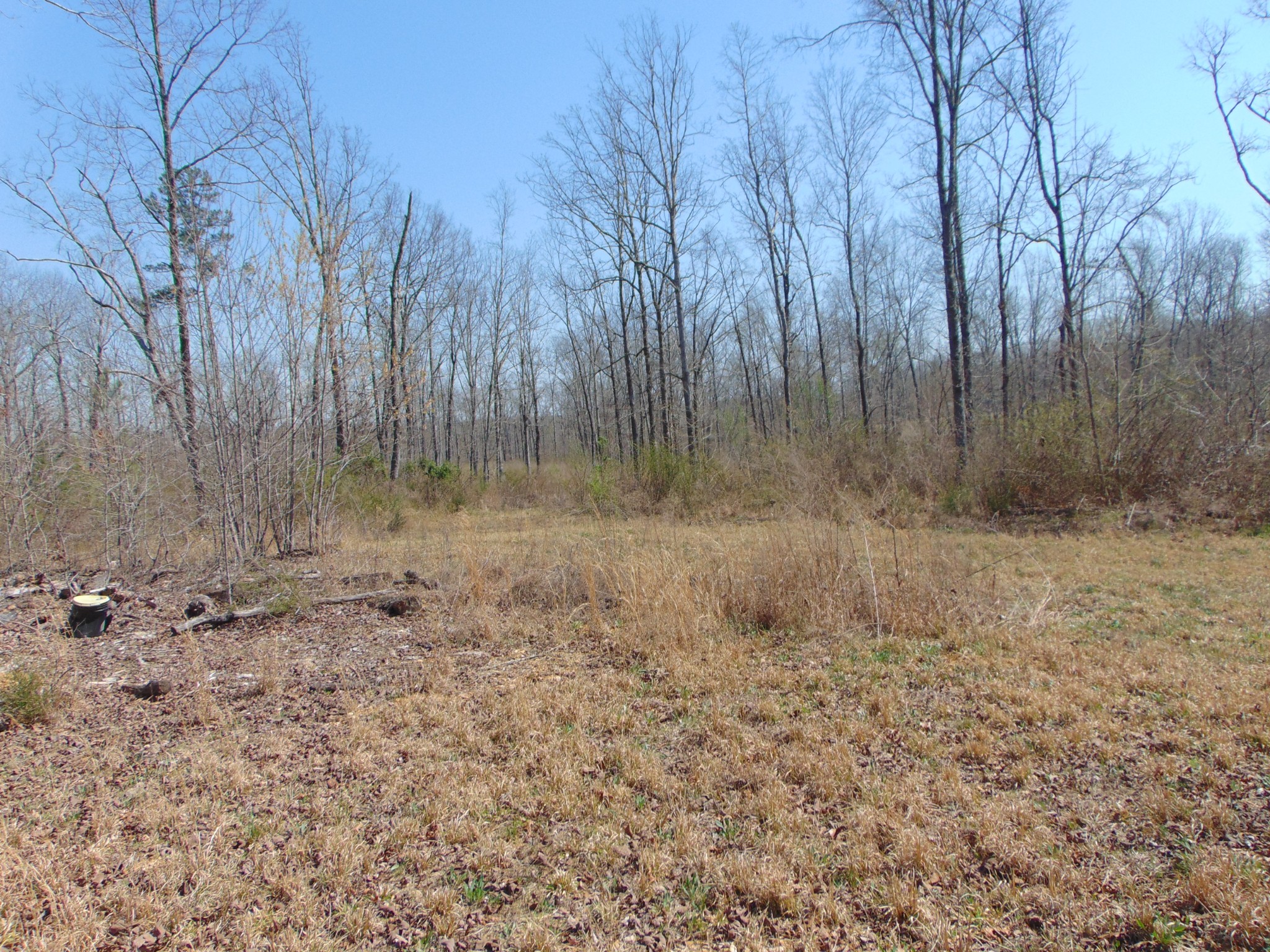 3160 Jimmy Holt Road Cypress Inn, TN 38452 - Photo 5 of 18