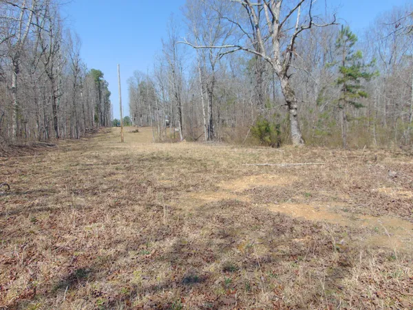 $229,950 | 3160 Jimmy Holt Road, Cypress Inn, TN 38452