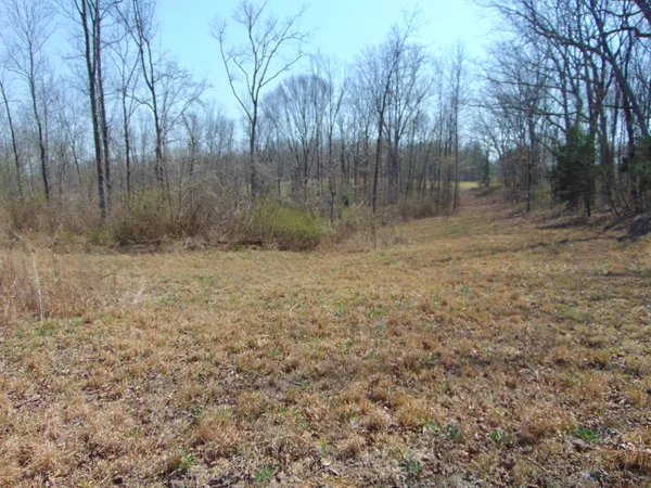 $229,950 | 3160 Jimmy Holt Road, Cypress Inn, TN 38452