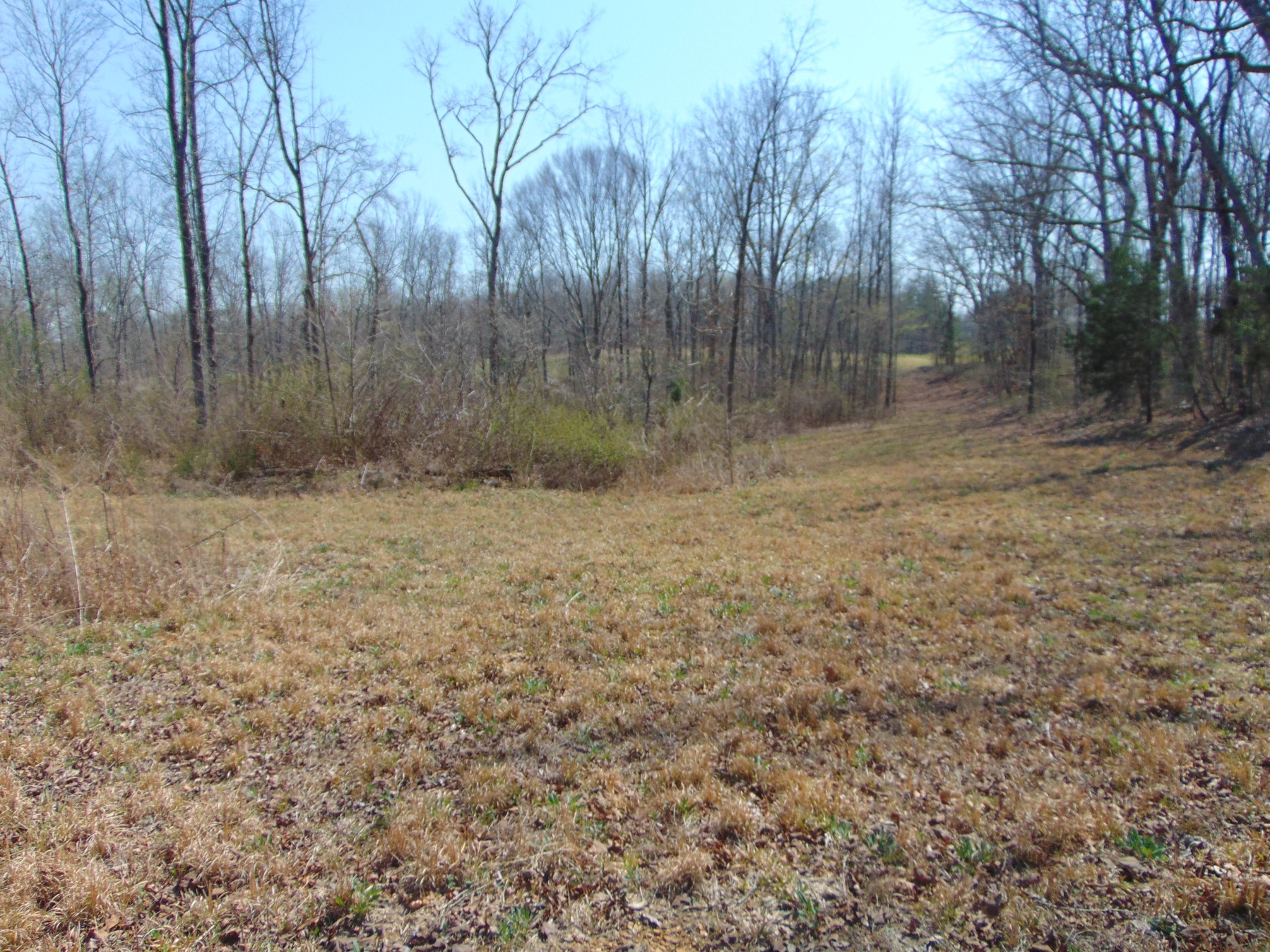 3160 Jimmy Holt Road Cypress Inn, TN 38452 - Photo 7 of 18