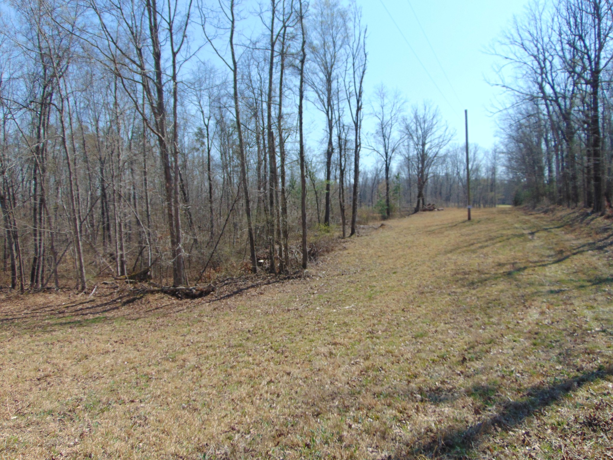 3160 Jimmy Holt Road Cypress Inn, TN 38452 - Photo 8 of 18