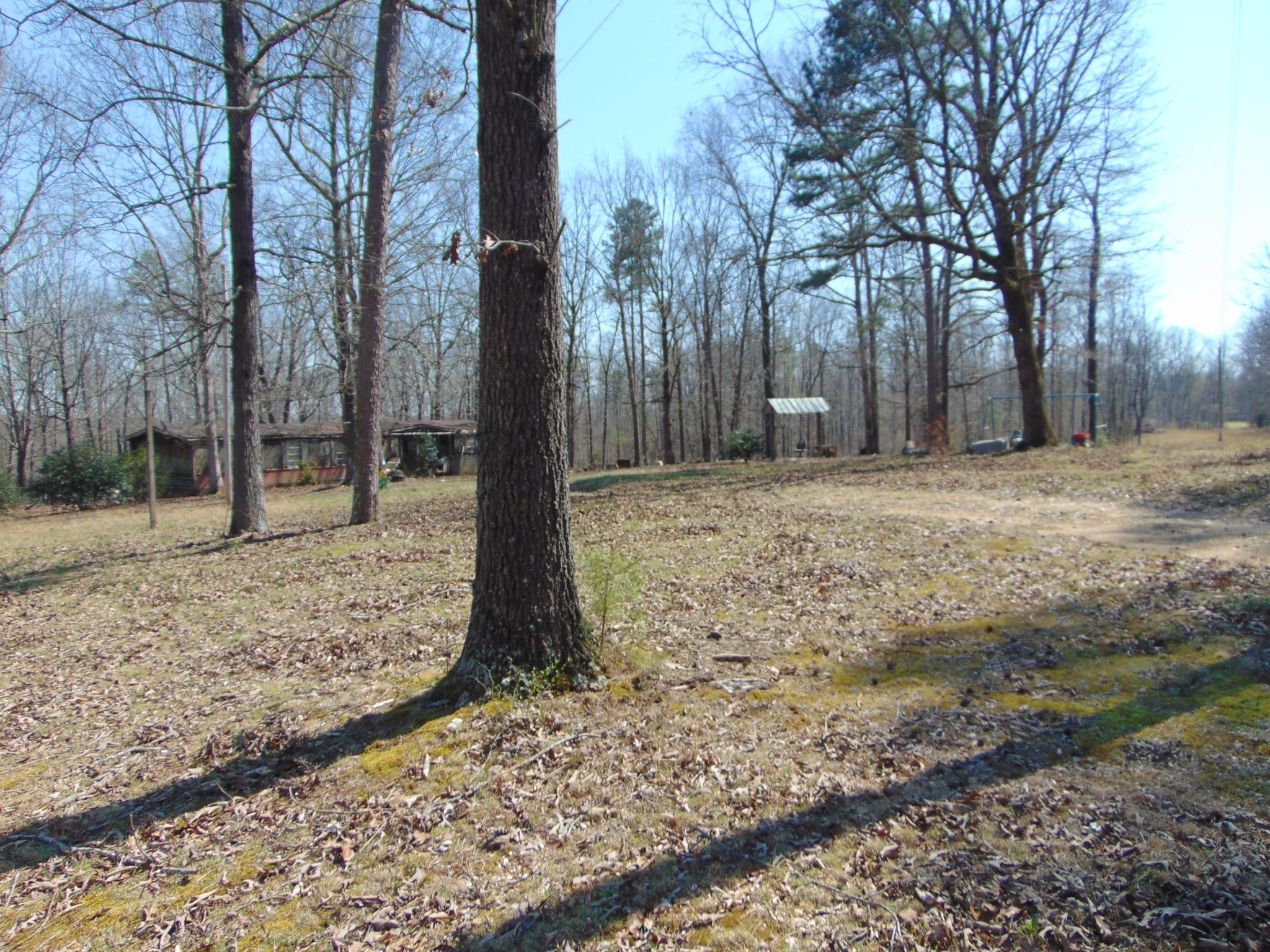 3160 Jimmy Holt Road Cypress Inn, TN 38452 - Photo 9 of 18