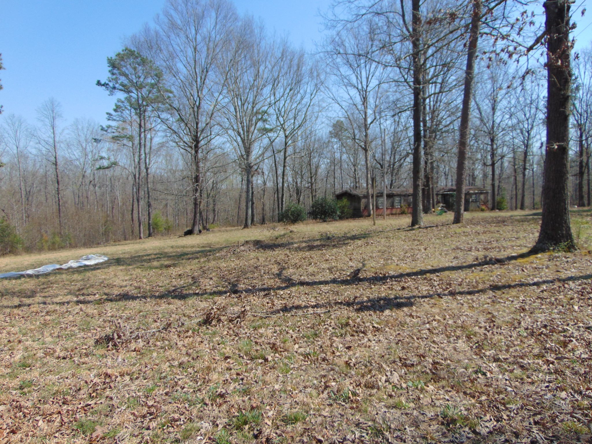 3160 Jimmy Holt Road Cypress Inn, TN 38452 - Photo 10 of 18