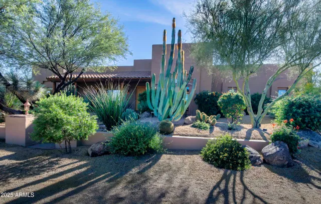 a garden with plants and outdoor seating