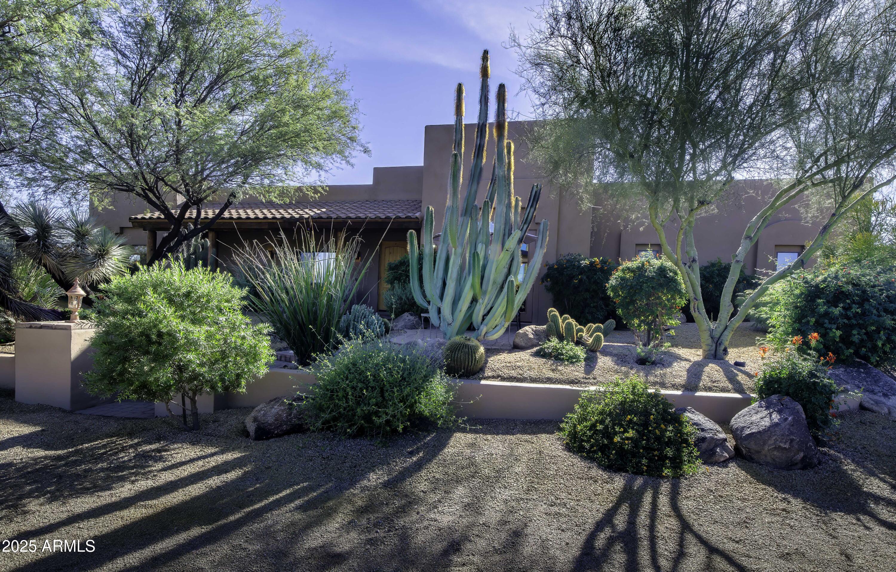 a garden with plants and outdoor seating