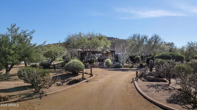 a view of a patio with chairs and potted plants
