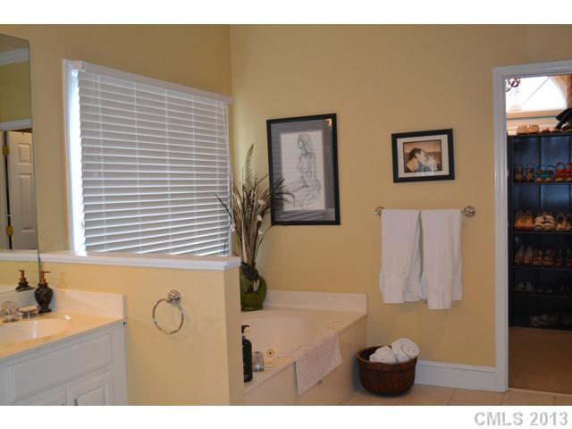 669 Portpatrick Place Fort Mill, SC 29708 - Photo 8 of 12