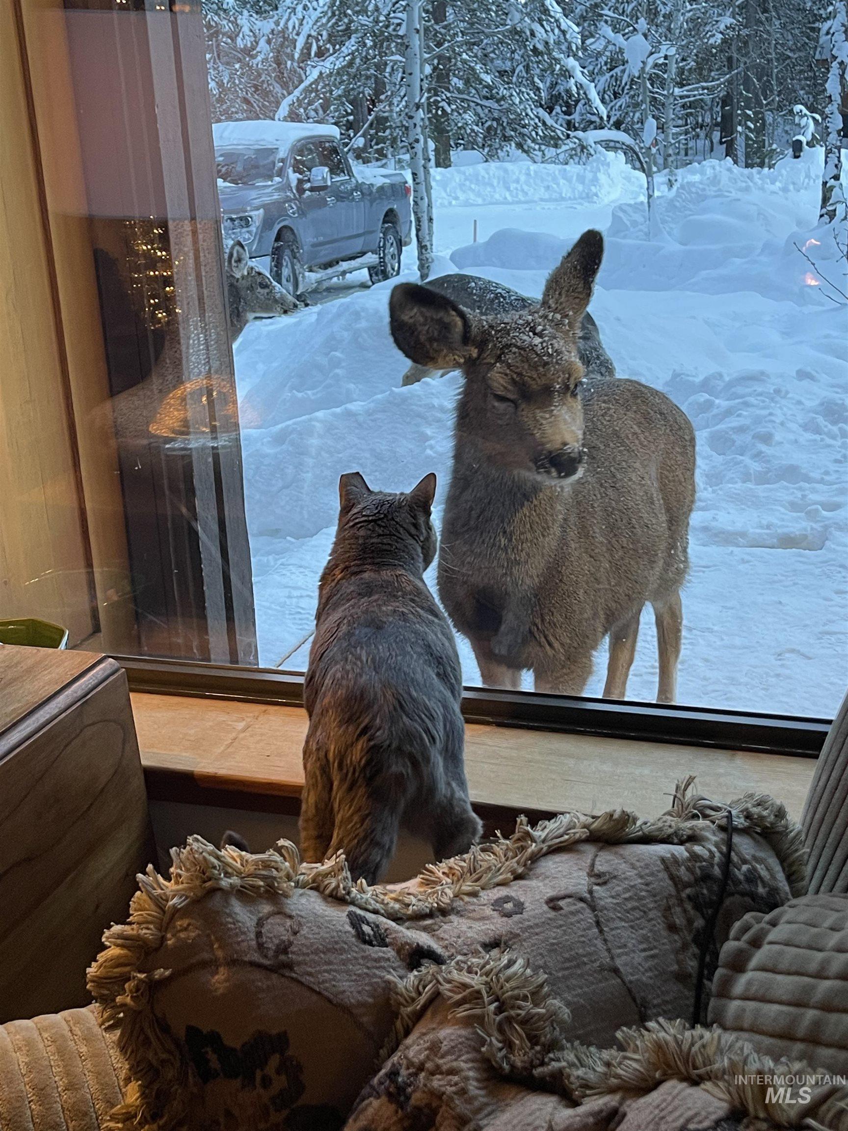 306 Rio Vista Boulevard McCall, ID 83638 - Photo 30 of 40 Detailed view