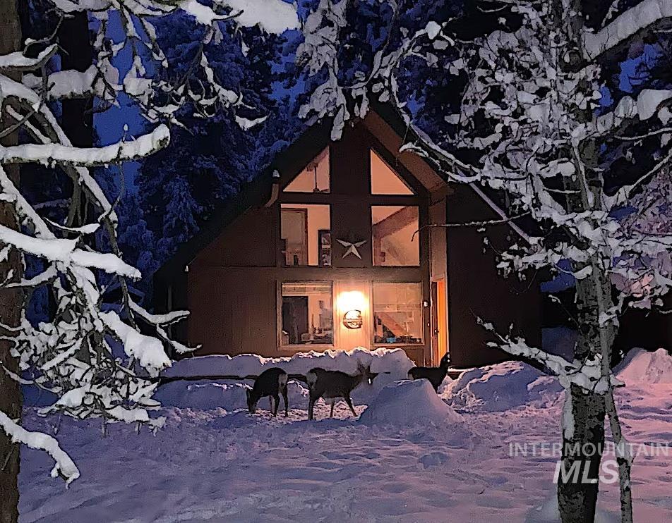 306 Rio Vista Boulevard McCall, ID 83638 - Photo 3 of 40 View of snow covered rear of property