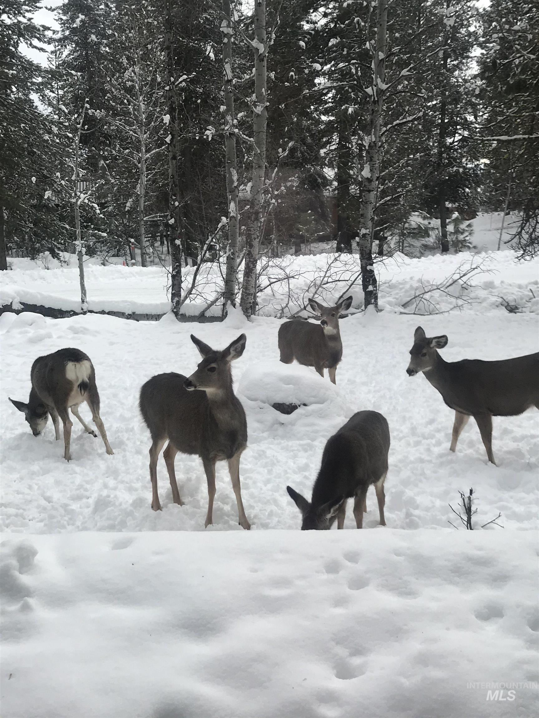 306 Rio Vista Boulevard McCall, ID 83638 - Photo 38 of 40 Surrounding community