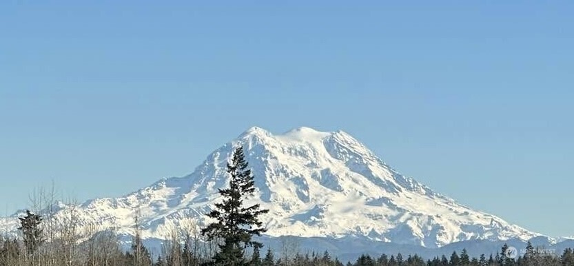 1546 Reservation Road Southeast, Unit 188 Olympia, WA 98513 - Photo 20 of 20