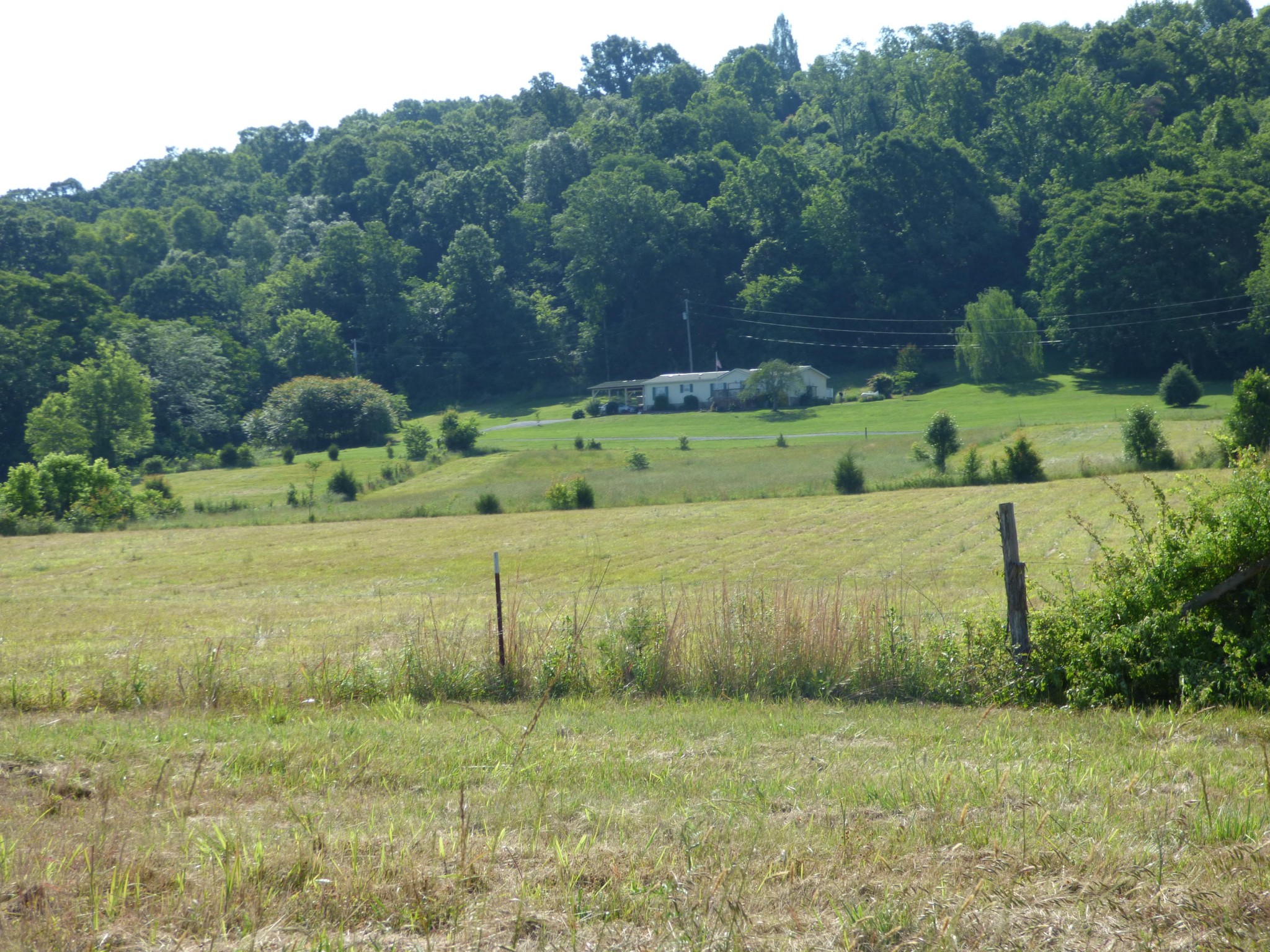 36 Lakescene Road Kingston, TN 37763 - Photo 14 of 23 Gallery Image 14