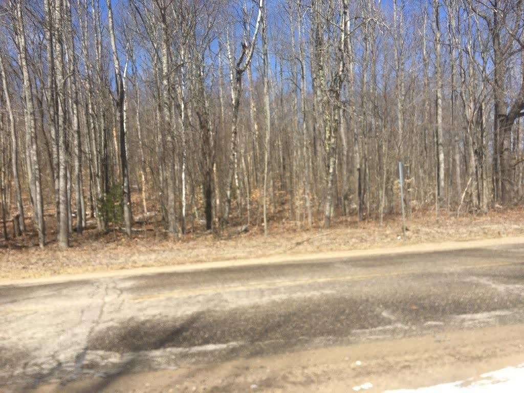 Blue Lake Road Kaleva, MI 49645 - Photo 1 of 5 1885678.JPG
