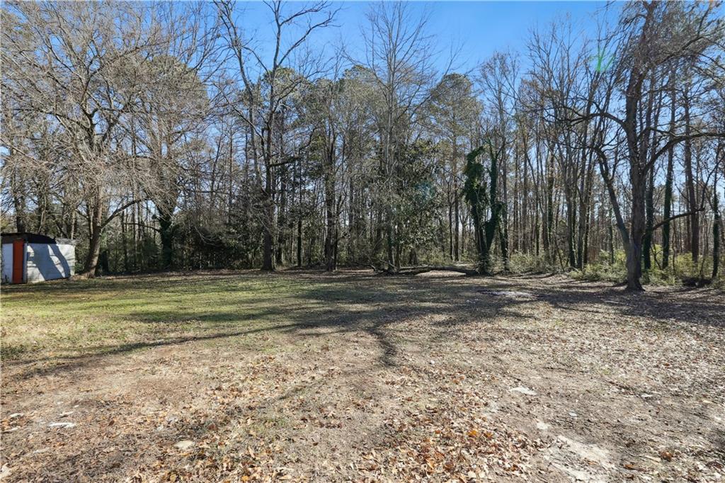 1512 Flat Shoals Road Atlanta, GA 30349 - Photo 24 of 35 a view of a yard with trees