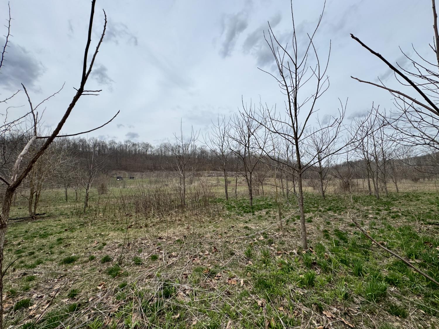 0 Sanes Creek Road Laurel, IN 47024 - Photo 13 of 14