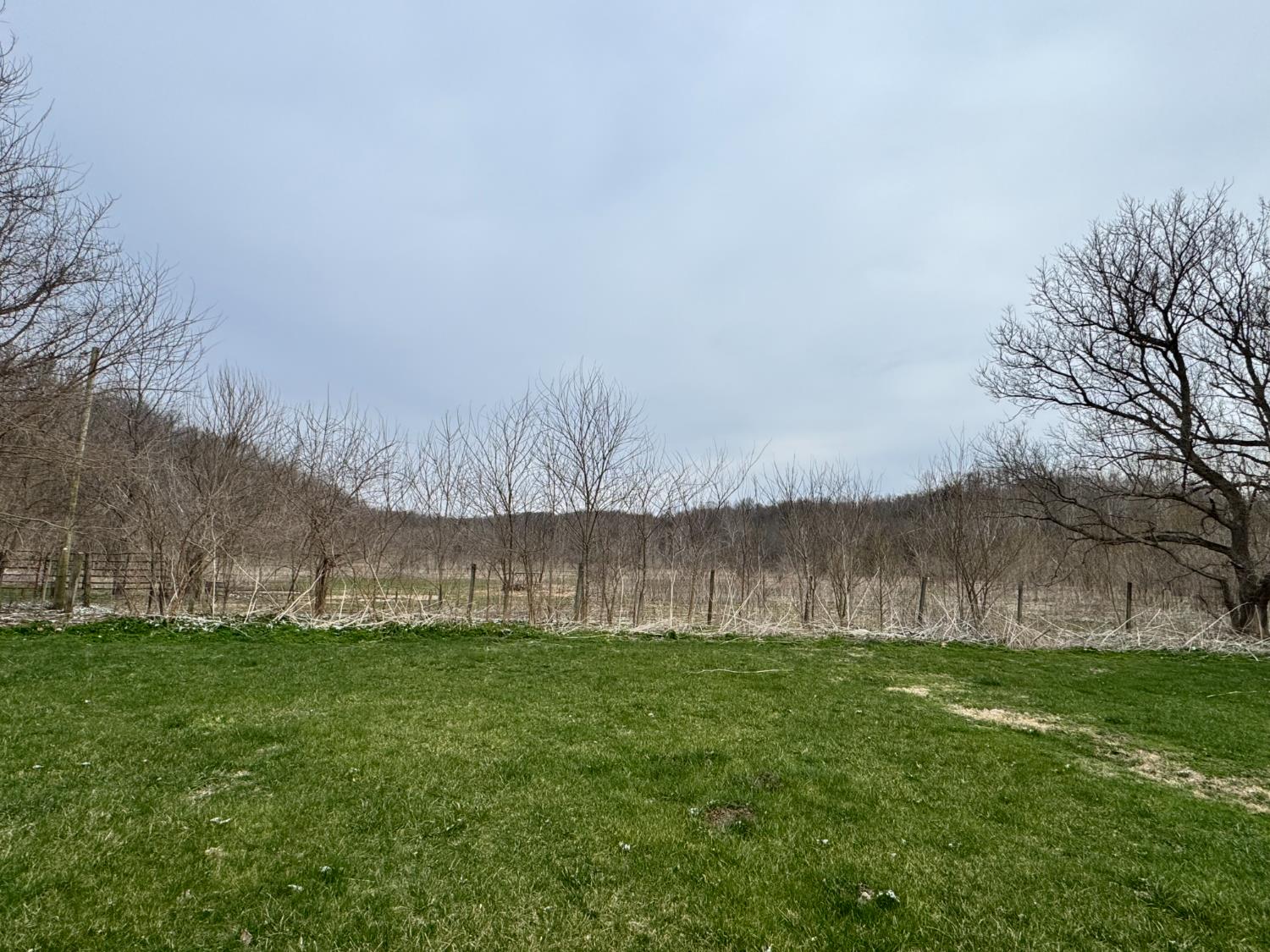 0 Sanes Creek Road Laurel, IN 47024 - Photo 14 of 14