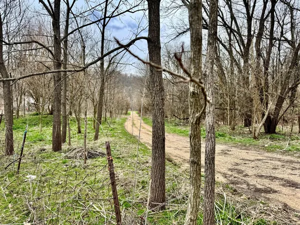 $120,000 | 0 Sanes Creek Road, Laurel, IN 47024