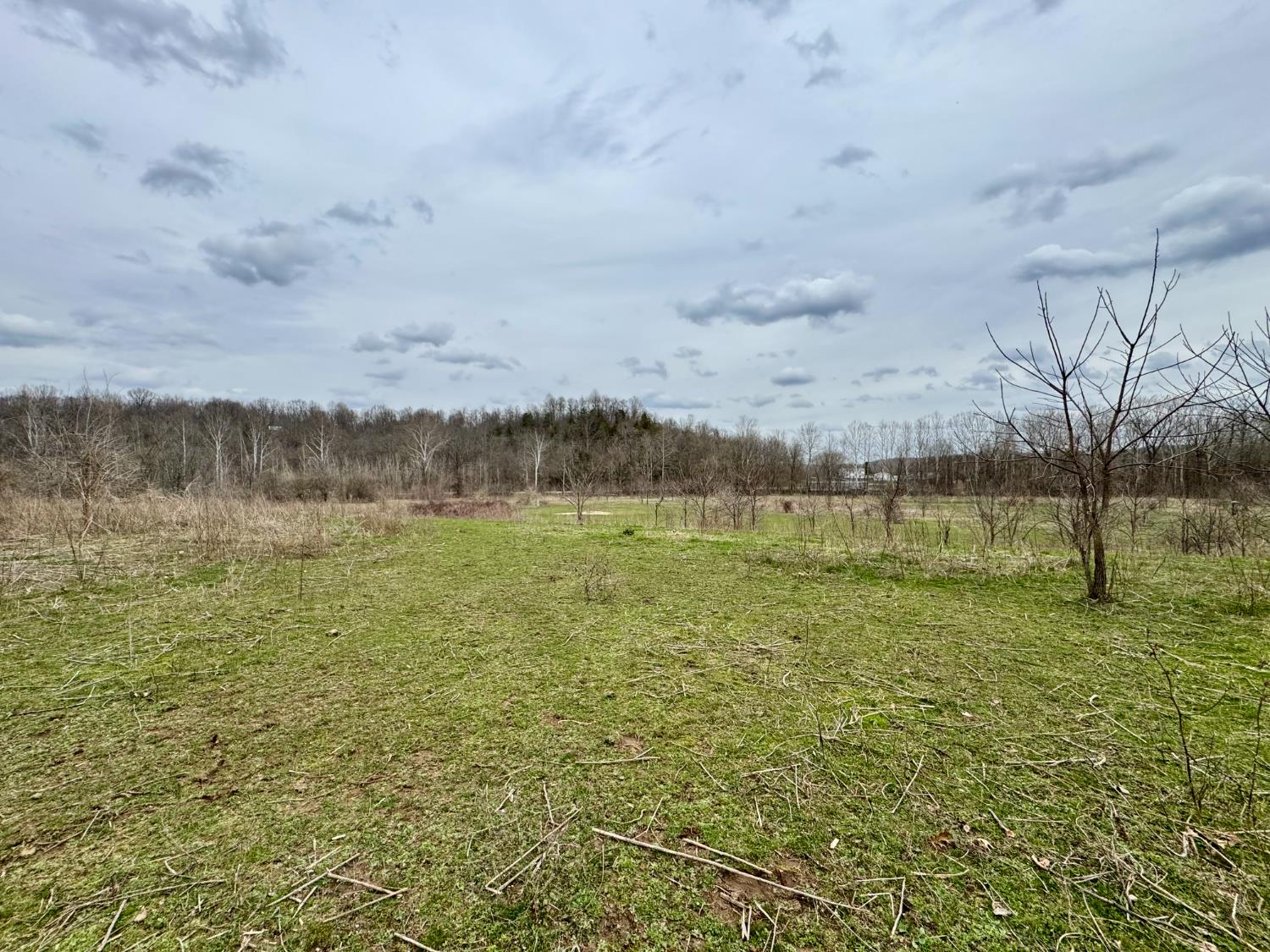 0 Sanes Creek Road Laurel, IN 47024 - Photo 8 of 14