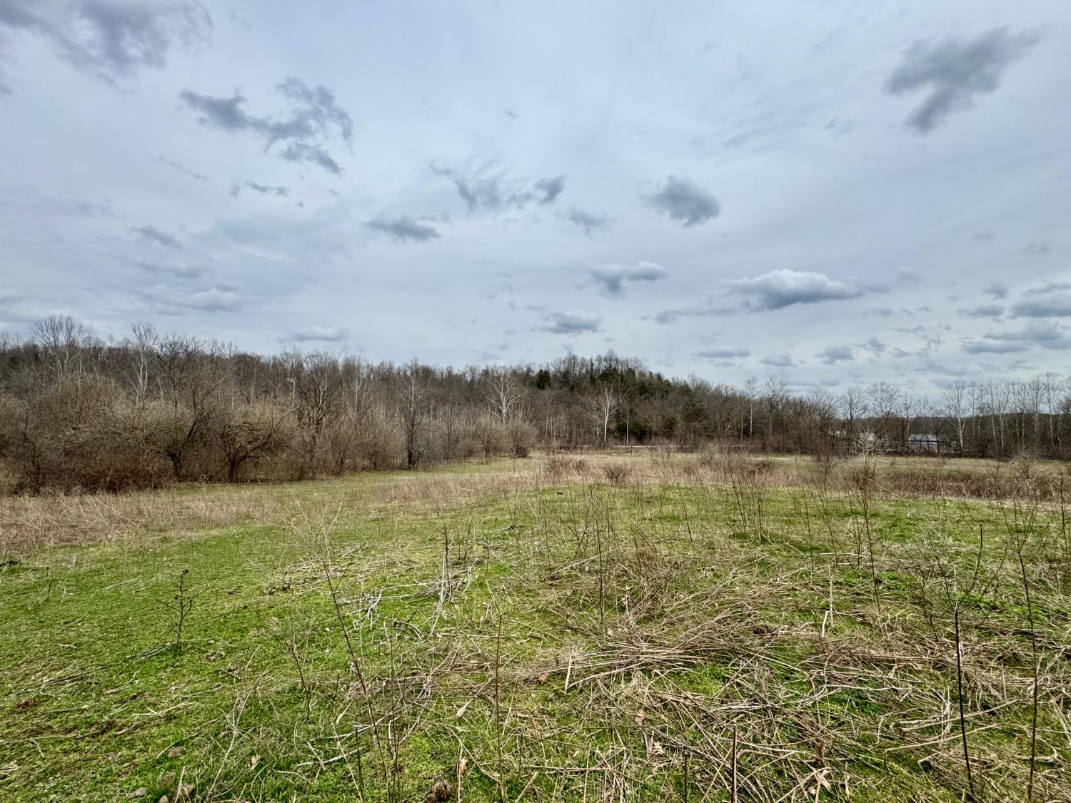 0 Sanes Creek Road Laurel, IN 47024 - Photo 9 of 14