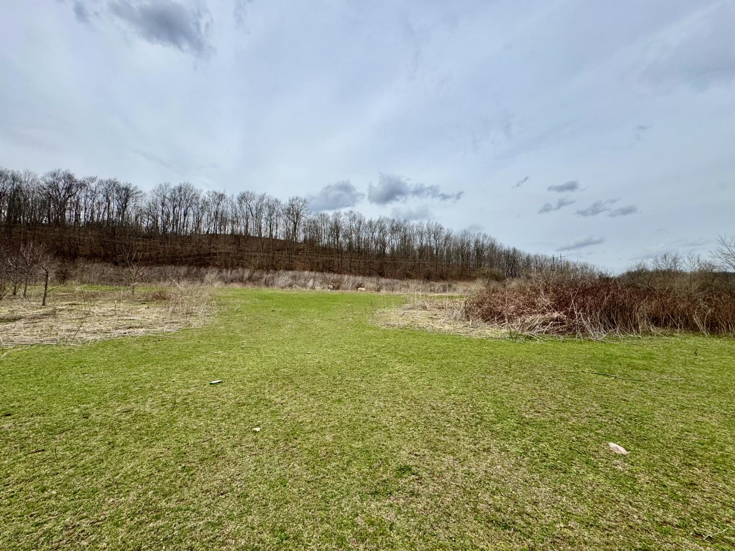 0 Sanes Creek Road Laurel, IN 47024 - Photo 10 of 14