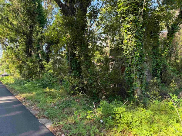 $45,000 | Xxx Southwest Ray Charles Avenue, Greenville, FL 32331