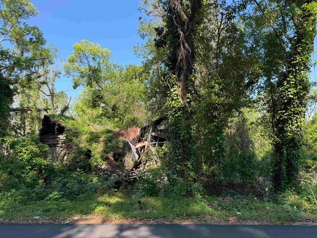 $45,000 | Xxx Southwest Ray Charles Avenue, Greenville, FL 32331