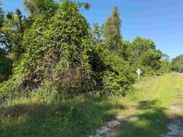 $45,000 | Xxx Southwest Ray Charles Avenue, Greenville, FL 32331