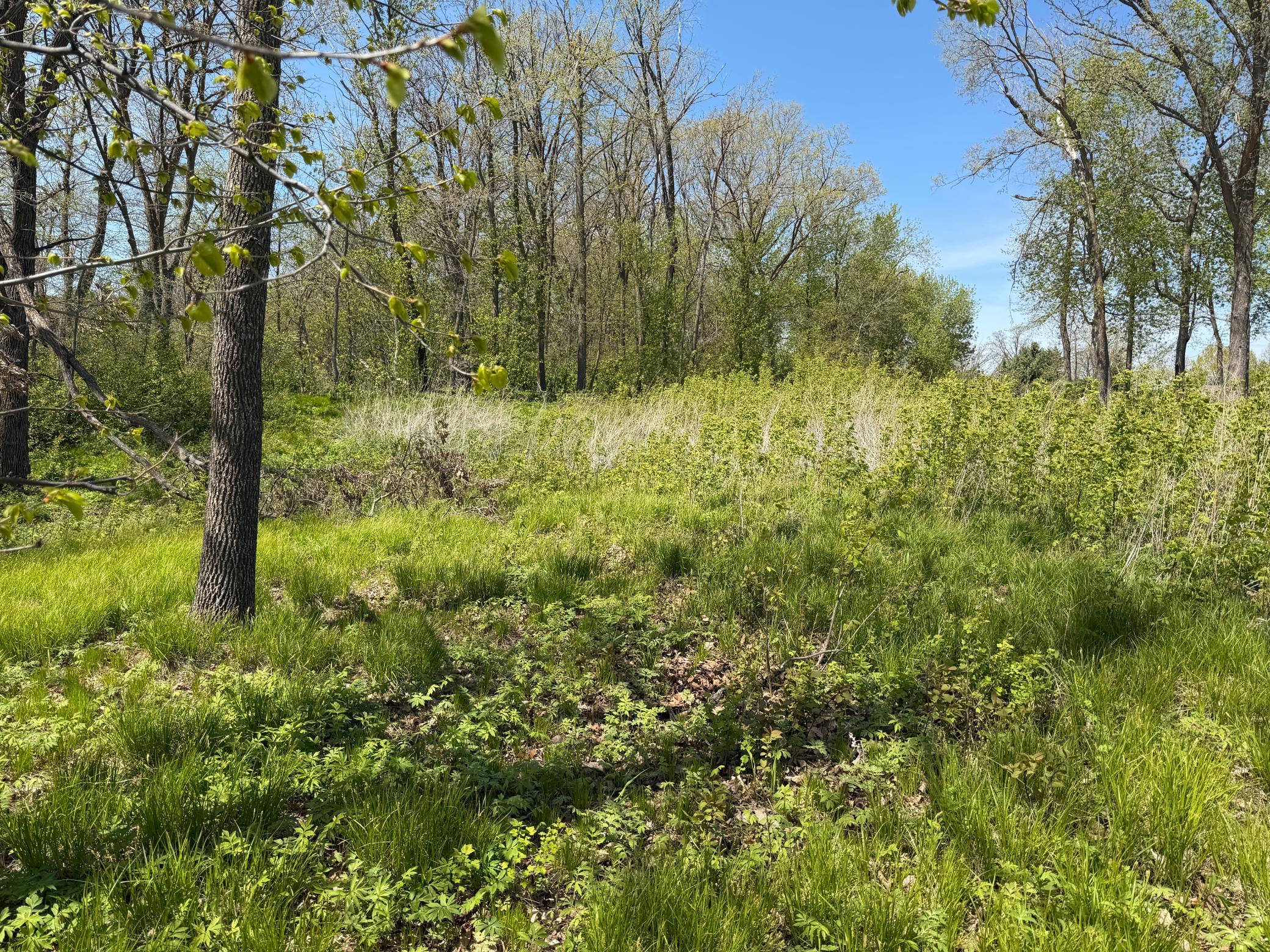 Tbd Pine Point Road Northwest Walker, MN 56484 - Photo 26 of 27
