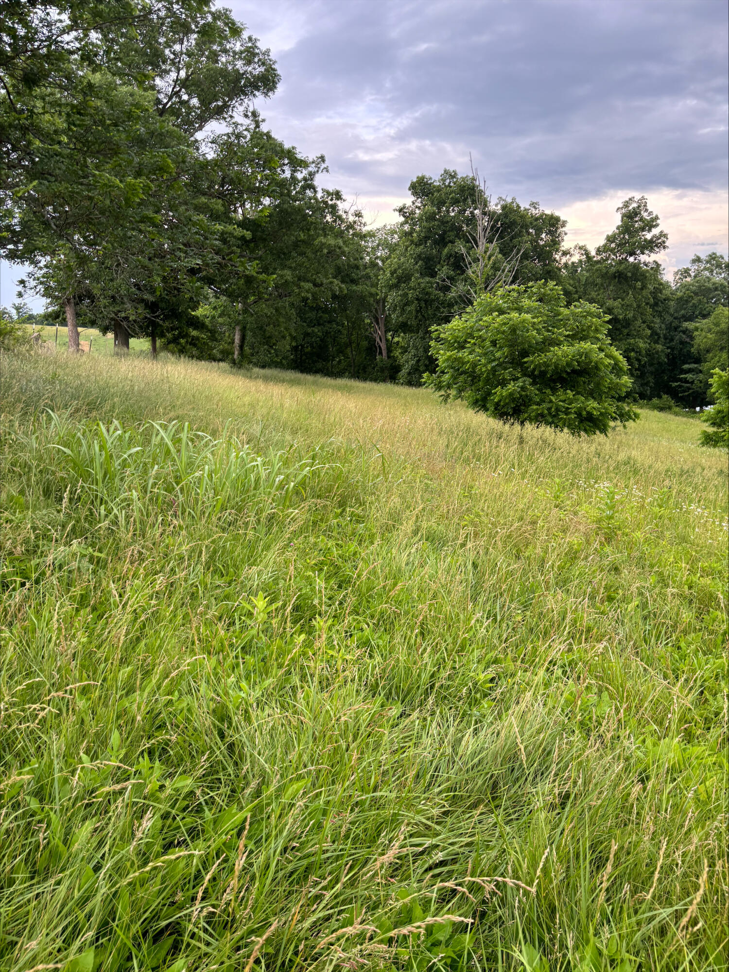 12355 Pleasant Ridge Road Alexandria, KY 41001 - Photo 24 of 27 processed-112DBB58-0A58-498E-BB51-5E947C