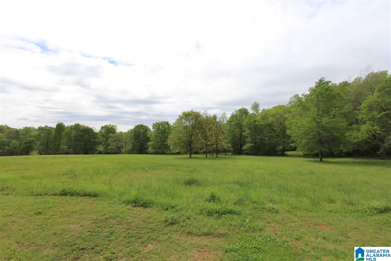 405 Hilldale Road Anniston, AL 36207 - Photo 11 of 50