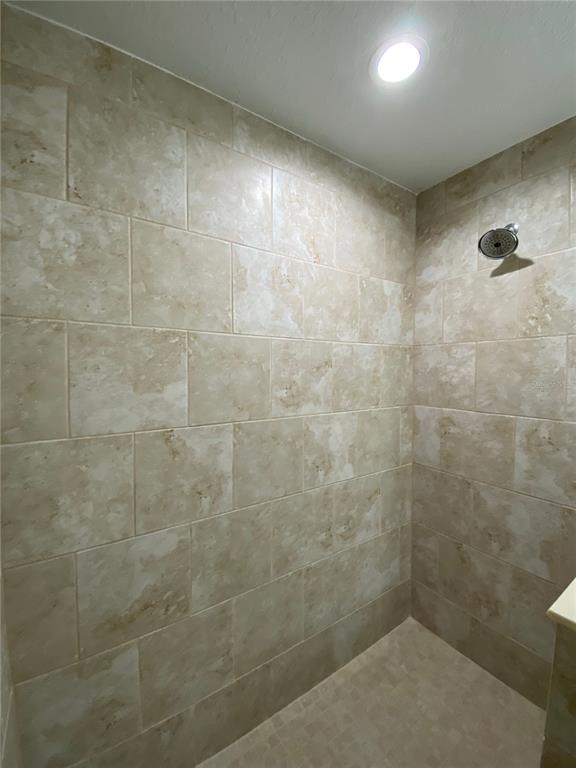 16767 Southwest 21st Terrace Road Ocala, FL 34473 - Photo 19 of 30 a bathroom with a shower